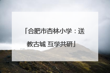 合肥市杏林小学：送教古城 互学共研
