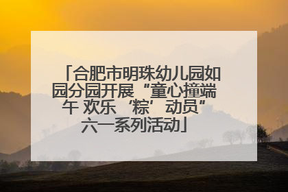 合肥市明珠幼儿园如园分园开展“童心撞端午 欢乐‘粽’动员”六一系列活动