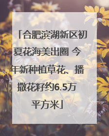 合肥滨湖新区初夏花海美出圈 今年新种植草花、播撒花籽约6.5万平方米
