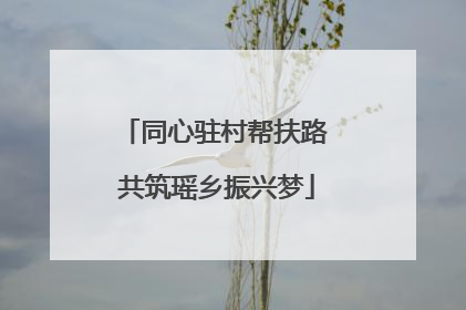 同心驻村帮扶路 共筑瑶乡振兴梦