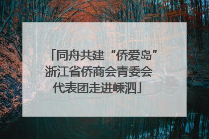 同舟共建“侨爱岛” 浙江省侨商会青委会代表团走进嵊泗