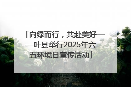向绿而行，共赴美好——叶县举行2025年六五环境日宣传活动