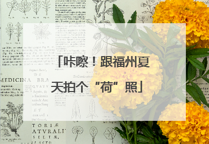 咔嚓！跟福州夏天拍个“荷”照