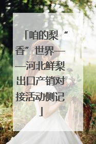 咱的梨“香”世界——河北鲜梨出口产销对接活动侧记