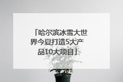 哈尔滨冰雪大世界今夏打造5大产品10大项目