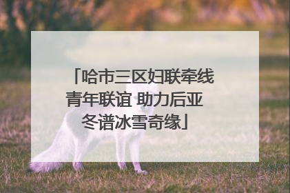 哈市三区妇联牵线青年联谊 助力后亚冬谱冰雪奇缘