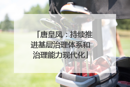 唐皇凤：持续推进基层治理体系和治理能力现代化