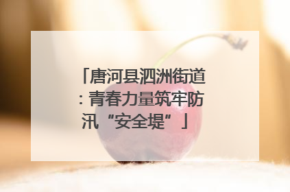 唐河县泗洲街道：青春力量筑牢防汛“安全堤”