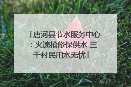 唐河县节水服务中心：火速抢修保供水 三千村民用水无忧