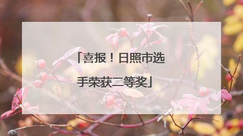 喜报！日照市选手荣获二等奖