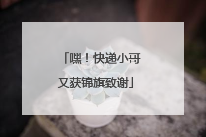 嘿！快递小哥又获锦旗致谢