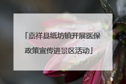 嘉祥县纸坊镇开展医保政策宣传进景区活动