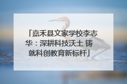 嘉禾县文家学校李志华：深耕科技沃土 铸就科创教育新标杆