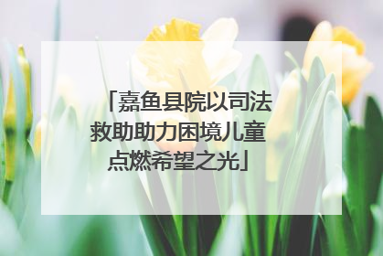 嘉鱼县院以司法救助助力困境儿童点燃希望之光