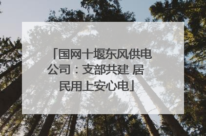 国网十堰东风供电公司：支部共建 居民用上安心电