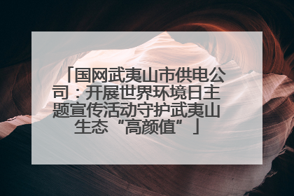 国网武夷山市供电公司：开展世界环境日主题宣传活动守护武夷山生态“高颜值”