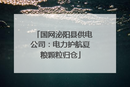 国网泌阳县供电公司：电力护航夏粮颗粒归仓