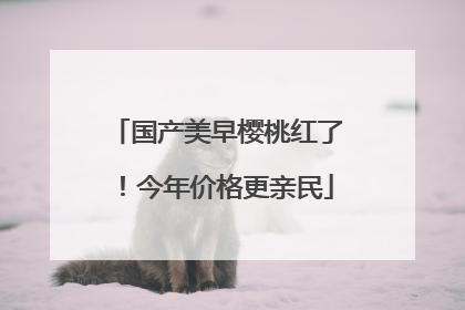 国产美早樱桃红了！今年价格更亲民