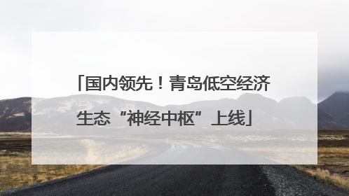 国内领先！青岛低空经济生态“神经中枢”上线