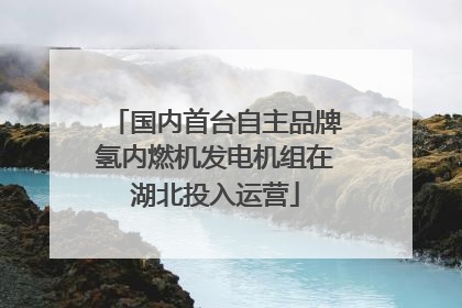 国内首台自主品牌氢内燃机发电机组在湖北投入运营