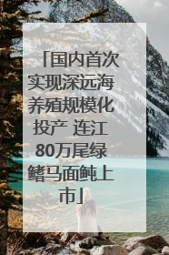国内首次实现深远海养殖规模化投产 连江80万尾绿鳍马面鲀上市
