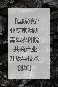 国家桃产业专家调研青岛农科院 共商产业升级与技术创新