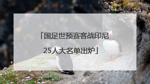 国足世预赛客战印尼25人大名单出炉