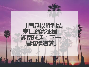 国足以胜利结束世预赛征程 湖南球迷：下一届继续追梦