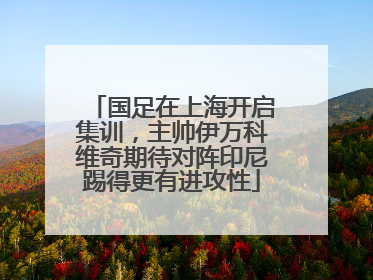 国足在上海开启集训，主帅伊万科维奇期待对阵印尼踢得更有进攻性