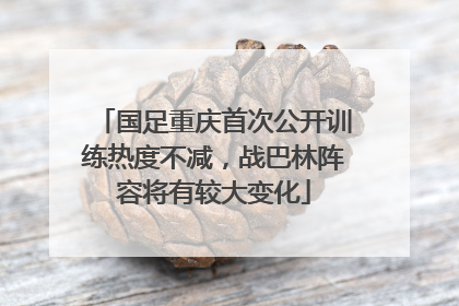 国足重庆首次公开训练热度不减，战巴林阵容将有较大变化