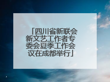四川省新联会新文艺工作者专委会夏季工作会议在成都举行