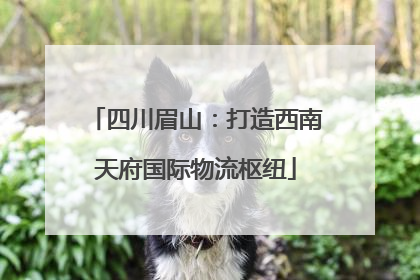 四川眉山：打造西南天府国际物流枢纽