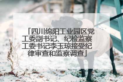 四川绵阳工业园区党工委副书记、纪检监察工委书记李玉琼接受纪律审查和监察调查