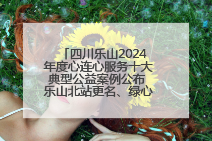 四川乐山2024年度心连心服务十大典型公益案例公布 乐山北站更名、绿心路井盖治理等上榜
