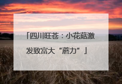 四川旺苍：小花菇激发致富大“蘑力”