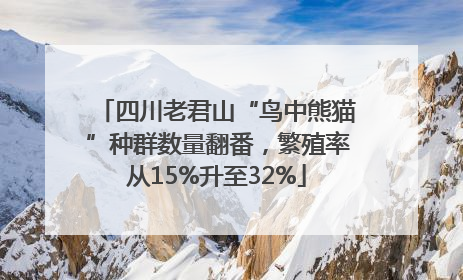四川老君山“鸟中熊猫”种群数量翻番，繁殖率从15%升至32%