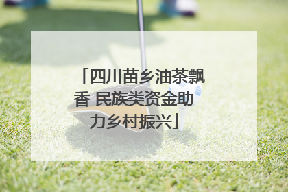 四川苗乡油茶飘香 民族类资金助力乡村振兴