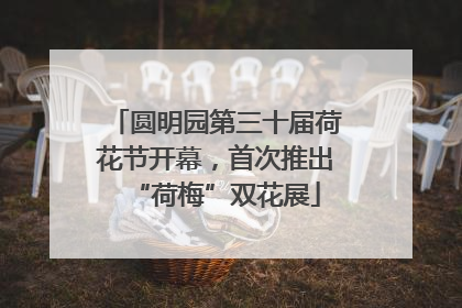圆明园第三十届荷花节开幕，首次推出“荷梅”双花展