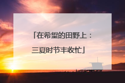 在希望的田野上：三夏时节丰收忙
