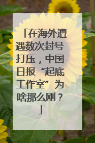 在海外遭遇数次封号打压，中国日报“起底工作室”为啥那么刚？