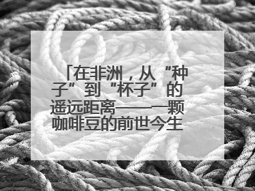 在非洲，从“种子”到“杯子”的遥远距离——一颗咖啡豆的前世今生（三）