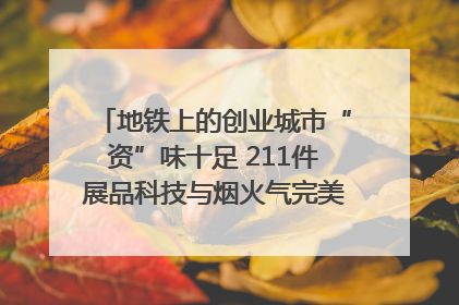 地铁上的创业城市“资”味十足 211件展品科技与烟火气完美融合｜西博视界