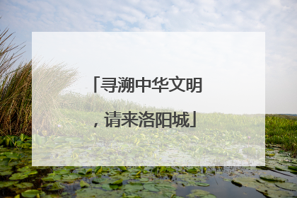 寻溯中华文明，请来洛阳城