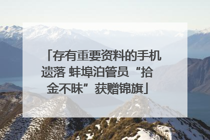 存有重要资料的手机遗落 蚌埠泊管员“拾金不昧”获赠锦旗