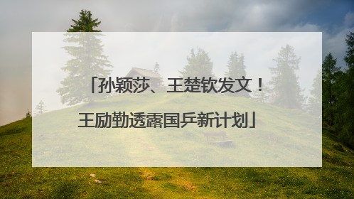 孙颖莎、王楚钦发文！王励勤透露国乒新计划