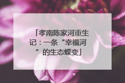孝南陈家河重生记：一条“幸福河”的生态蝶变