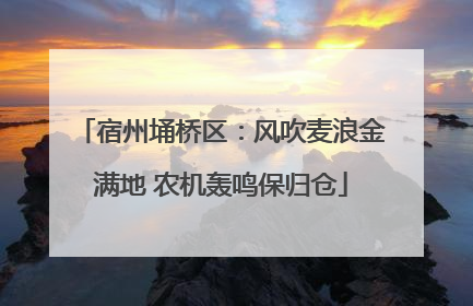 宿州埇桥区：风吹麦浪金满地 农机轰鸣保归仓