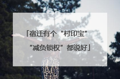 宿迁有个“村印宝” “减负锁权”都说好
