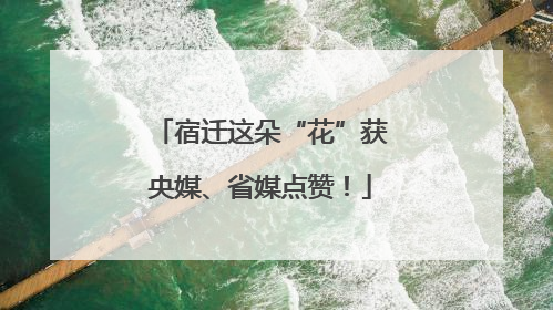 宿迁这朵“花”获央媒、省媒点赞！