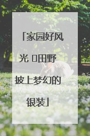 家园好风光 ⎮田野披上梦幻的银装